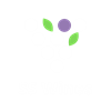 SS Wines